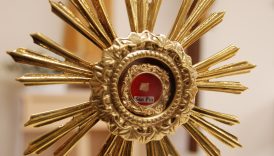 Czytaj więcej o: Uroczystość przekazania relikwii św. Ojca Pio